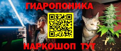 дживик Можга