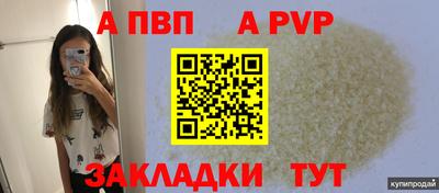 дживик Можга