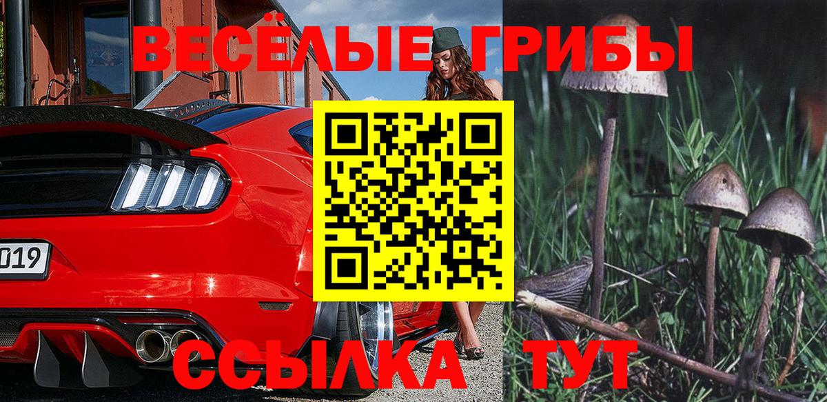 Псилоцибиновые грибы Magic Shrooms  Вход с VPN  сколько стоит  Шелехов 